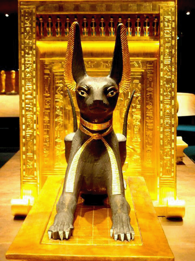 anubis