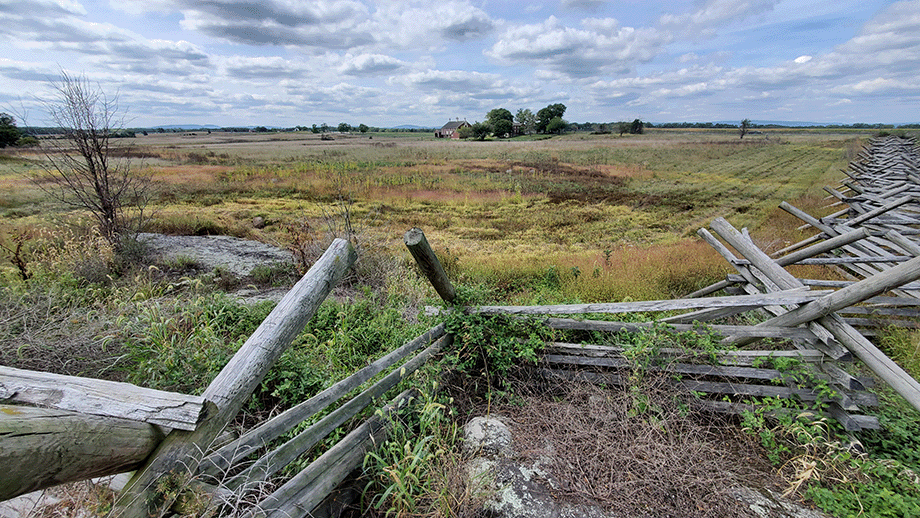 picketts-charge